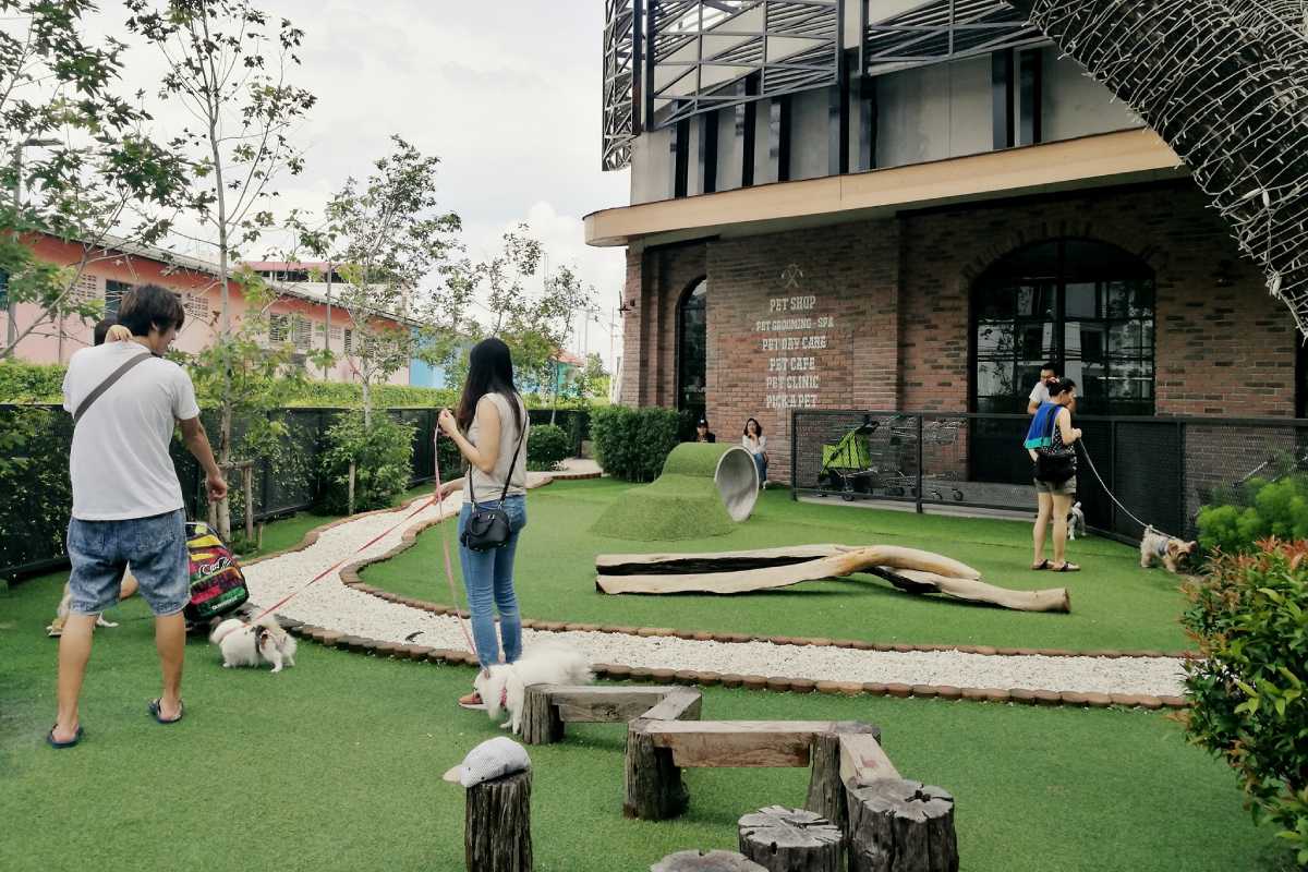 Dog Cat Fit Routine ! อัปเดต "10 สวนสาธารณะ Pet Friendly ปี 65" สำหรับ